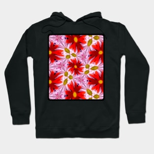 Beautiful Red Aster Patterns Hoodie